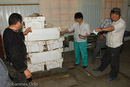 35_Aral_2007_kl_DSC2241